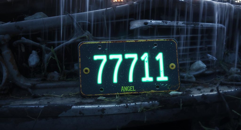 angel numbers on expired license plates